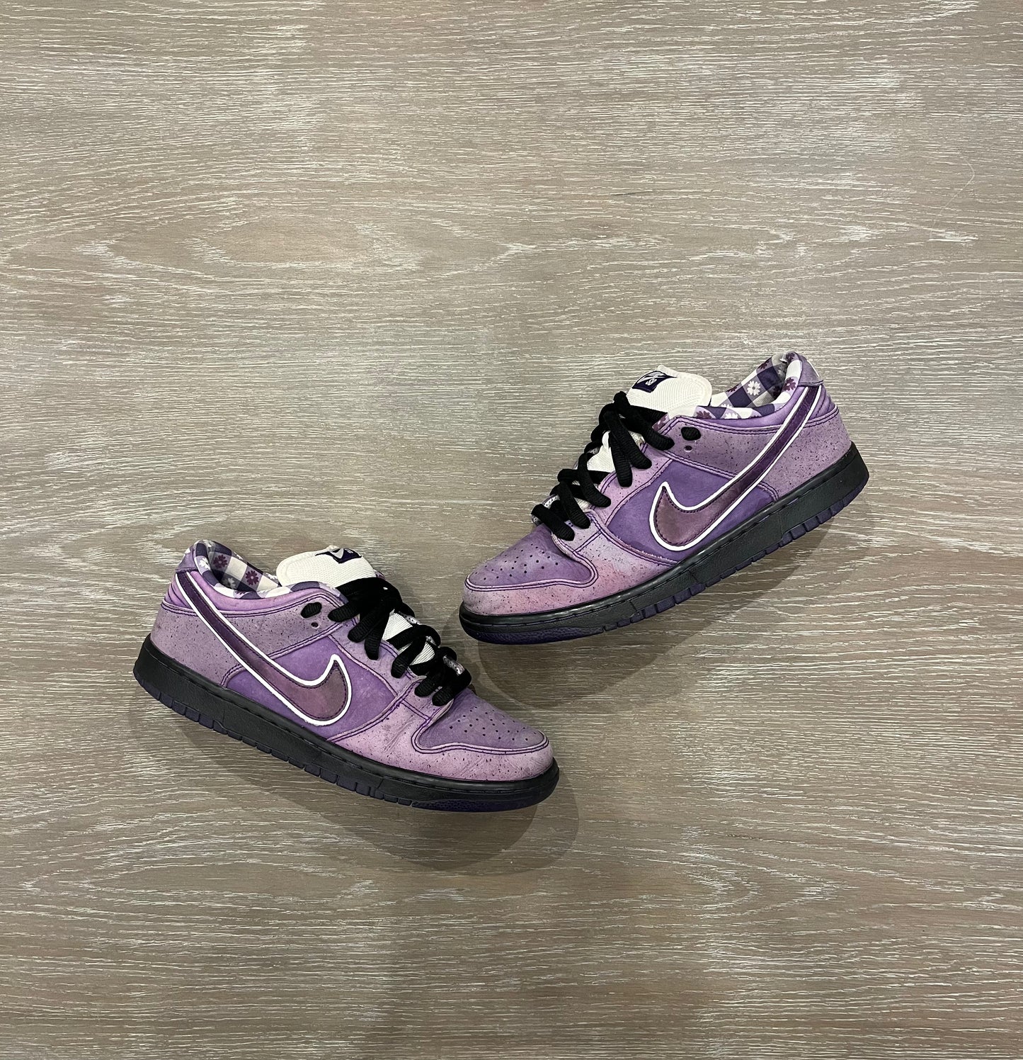 Nike Dunk Purple lobster