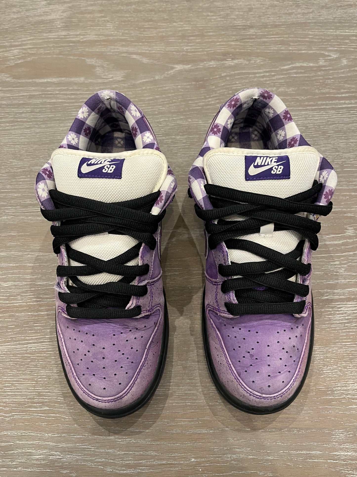 Nike Dunk Purple lobster
