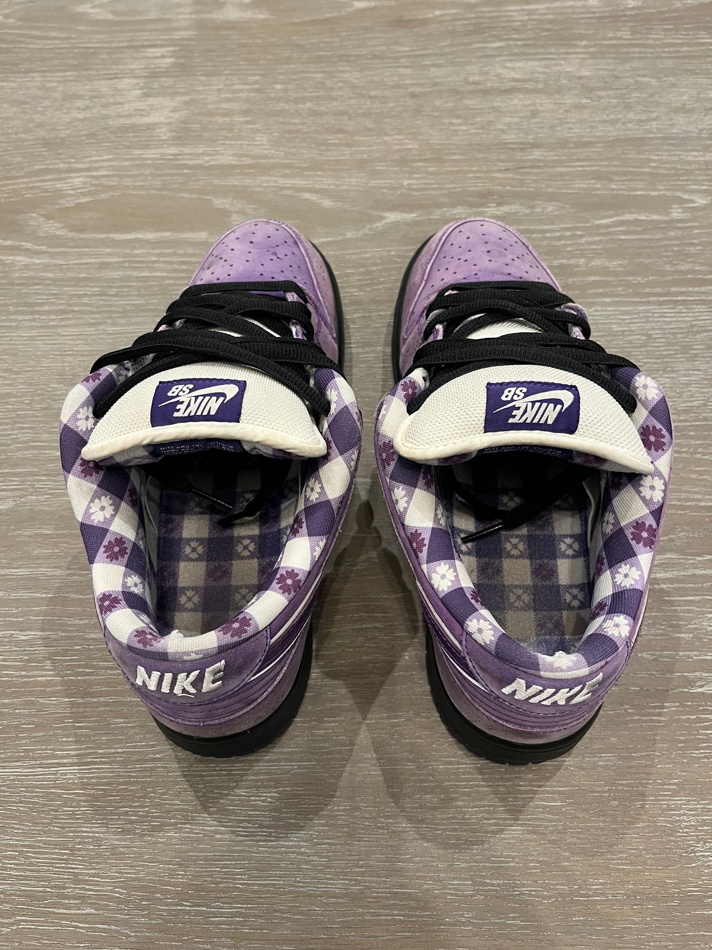 Nike Dunk Purple lobster