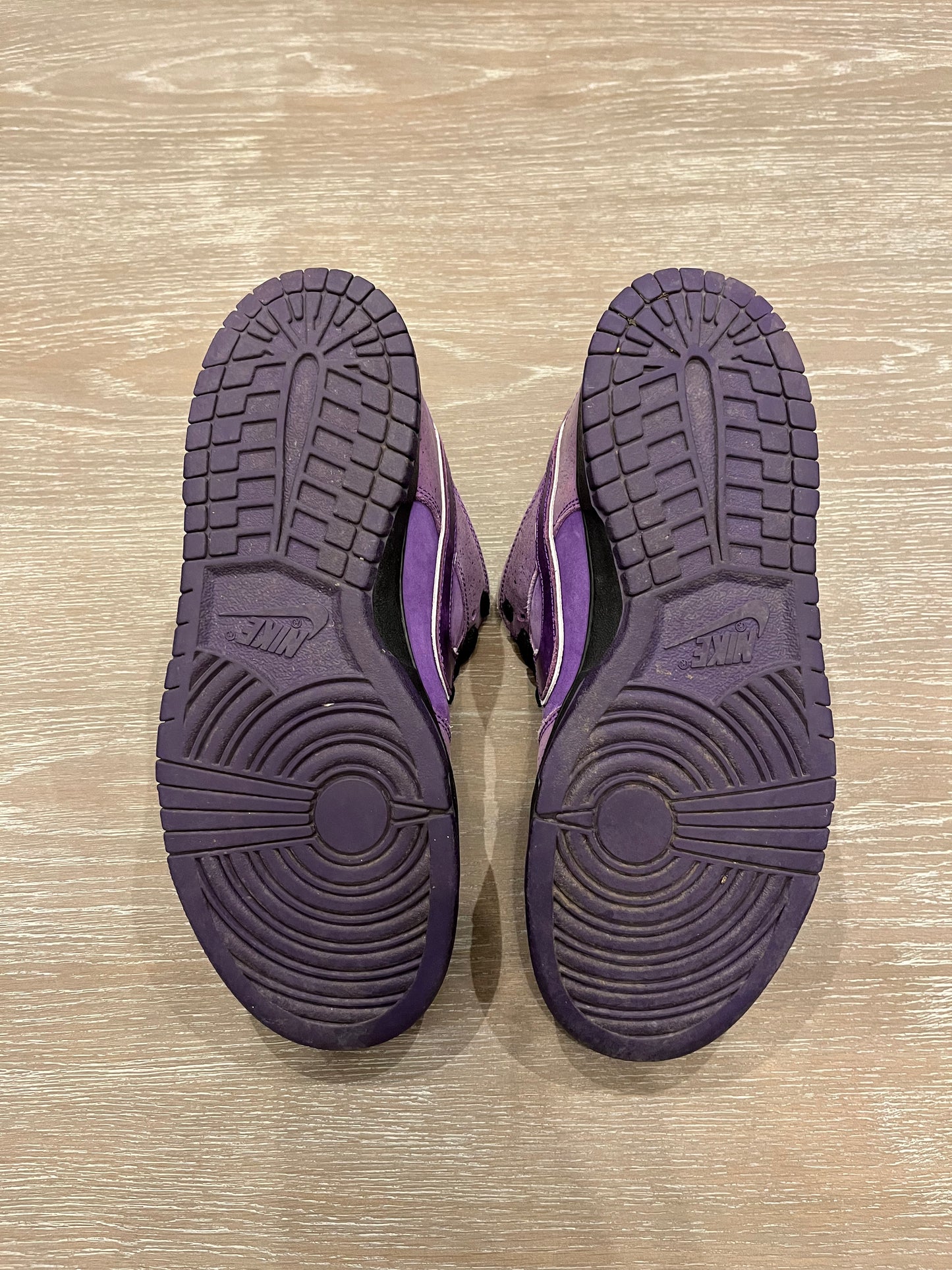 Nike Dunk Purple lobster