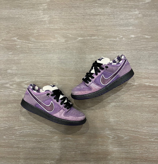 Nike Dunk Purple lobster